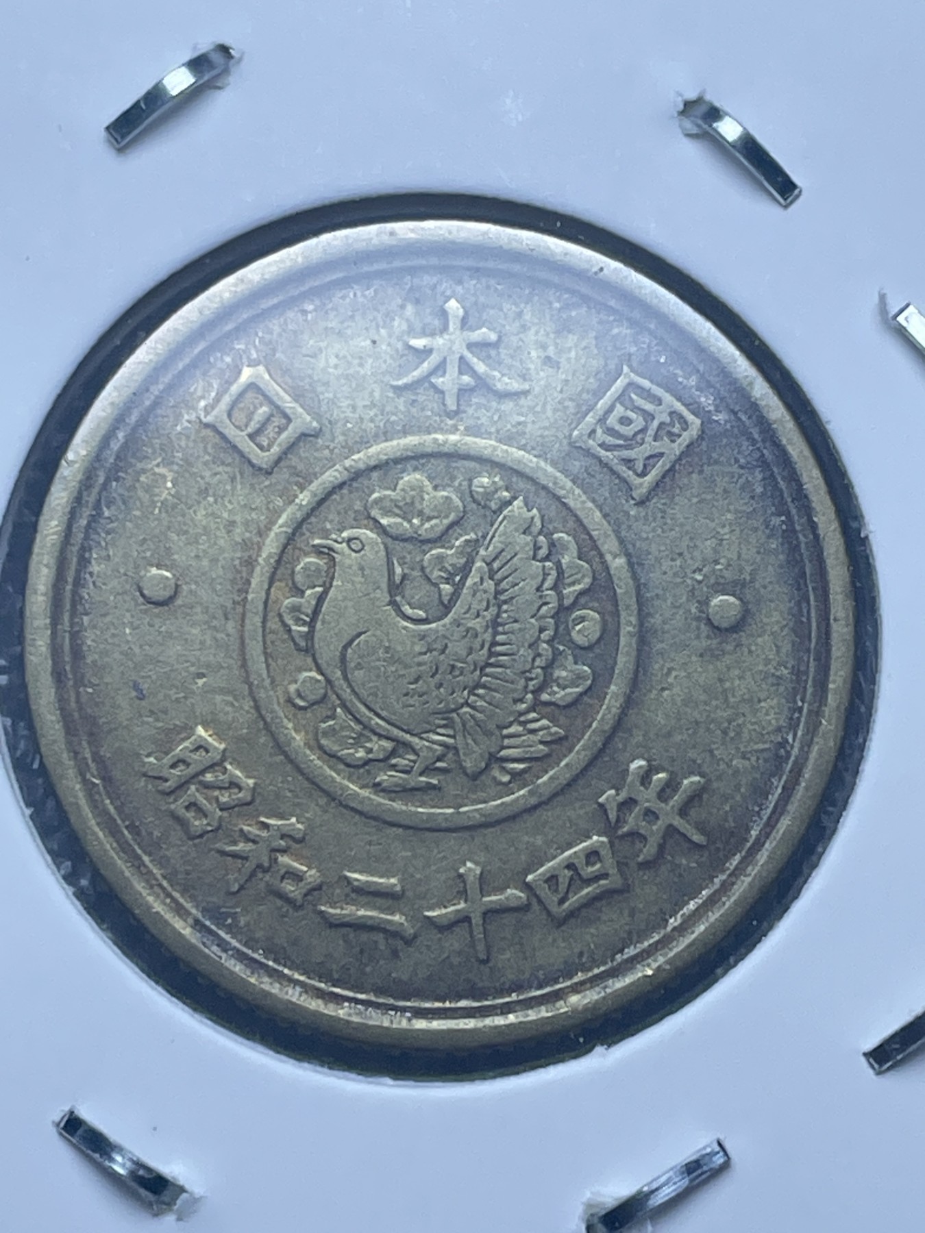 神仙姐姐散币好品专场第十一期（无佣金，预留三期自动发出 日本昭和二十四年五円