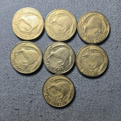 一百一十五期 一月第一拍 - 1.1.4新西兰几维鸟