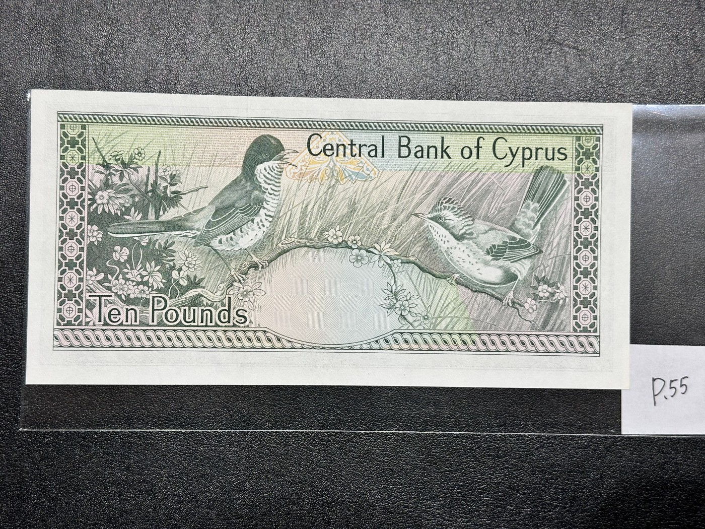 《外钞收藏家》第三百二十四期 地中海四国专场（土耳其/塞浦路斯/叙利亚/黎巴嫩） 塞浦路斯1995年10镑（P55）全新