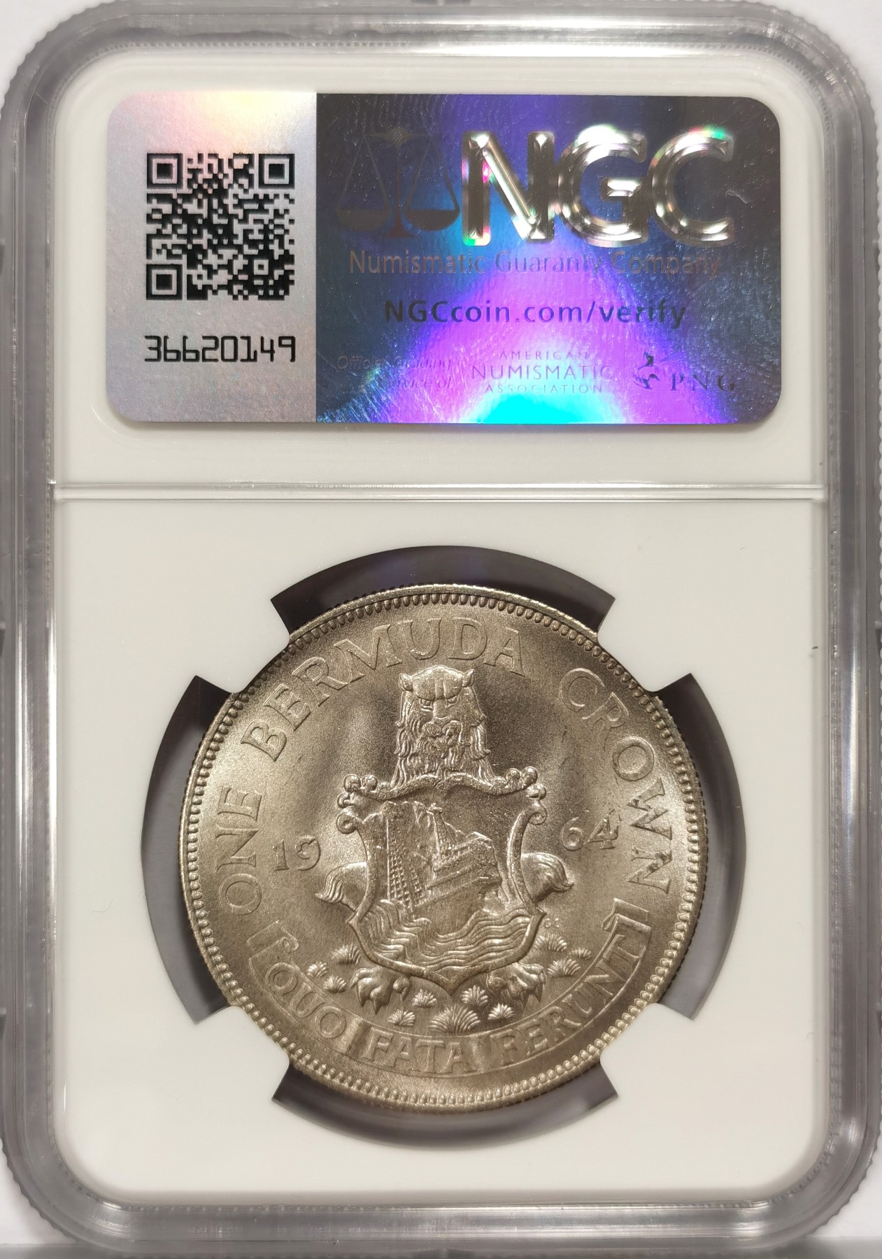 博洋堂世界钱币拍卖第058期（全场包邮） NGC MS65 英属百慕大1964年1克朗银币，原卷拆出送评