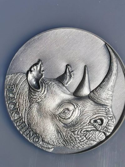 刘世昌艺术品销售中心～虎踞龙蟠*金杨在线联拍群第521期  喀麦隆2023年野生动物～犀牛2000法郎2盎司仿古纪念银币“首期”（NGC MS70ANT 串号：6723060-003）1枚，原盒证。发行量：500枚。