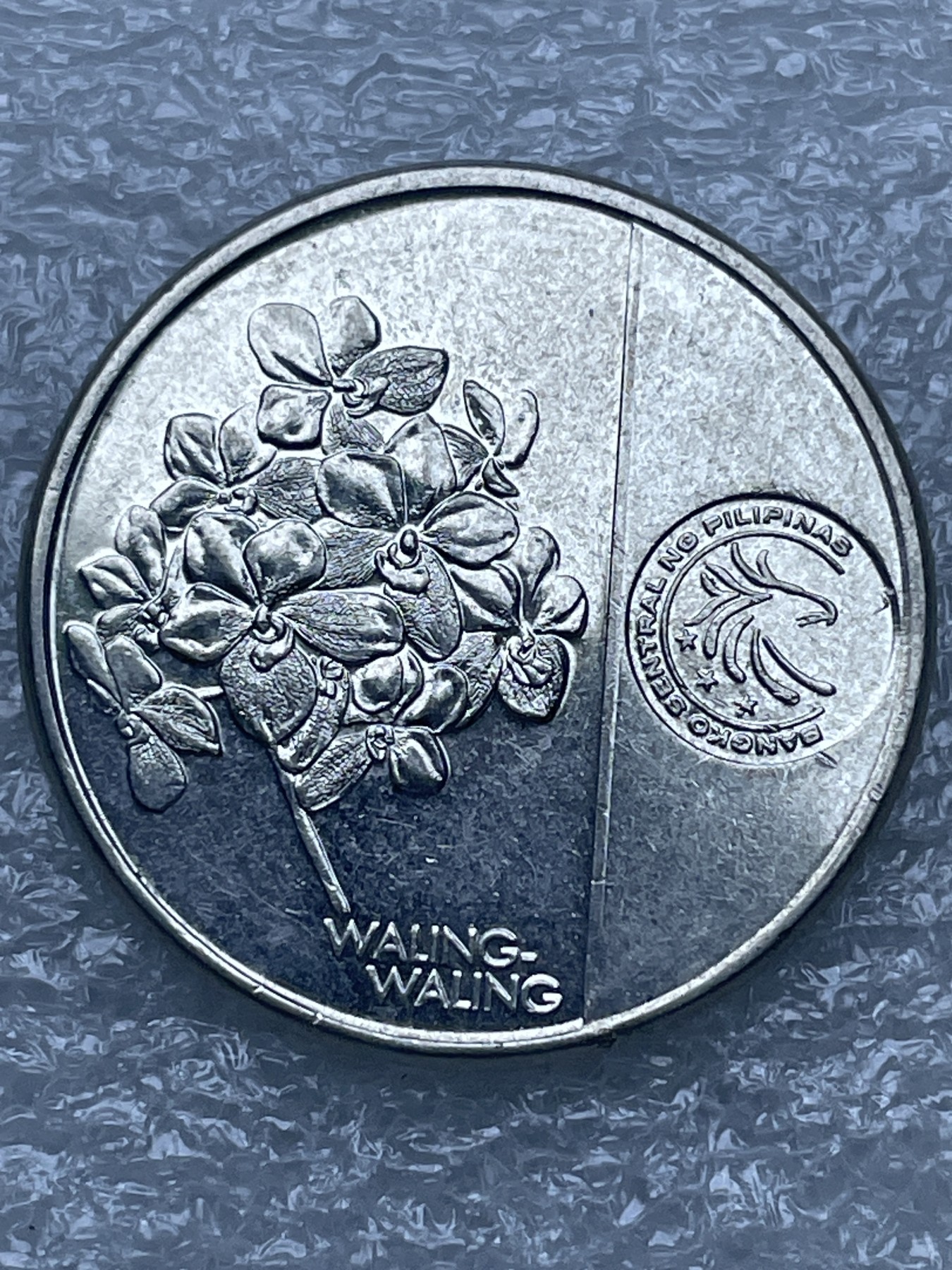 神仙姐姐散币好品专场第十二期（无佣金，预留三期自动发出 新版菲律宾 1 比索