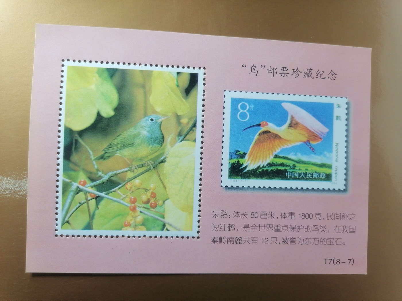 混拍专场 鸟邮票珍藏纪念新全品