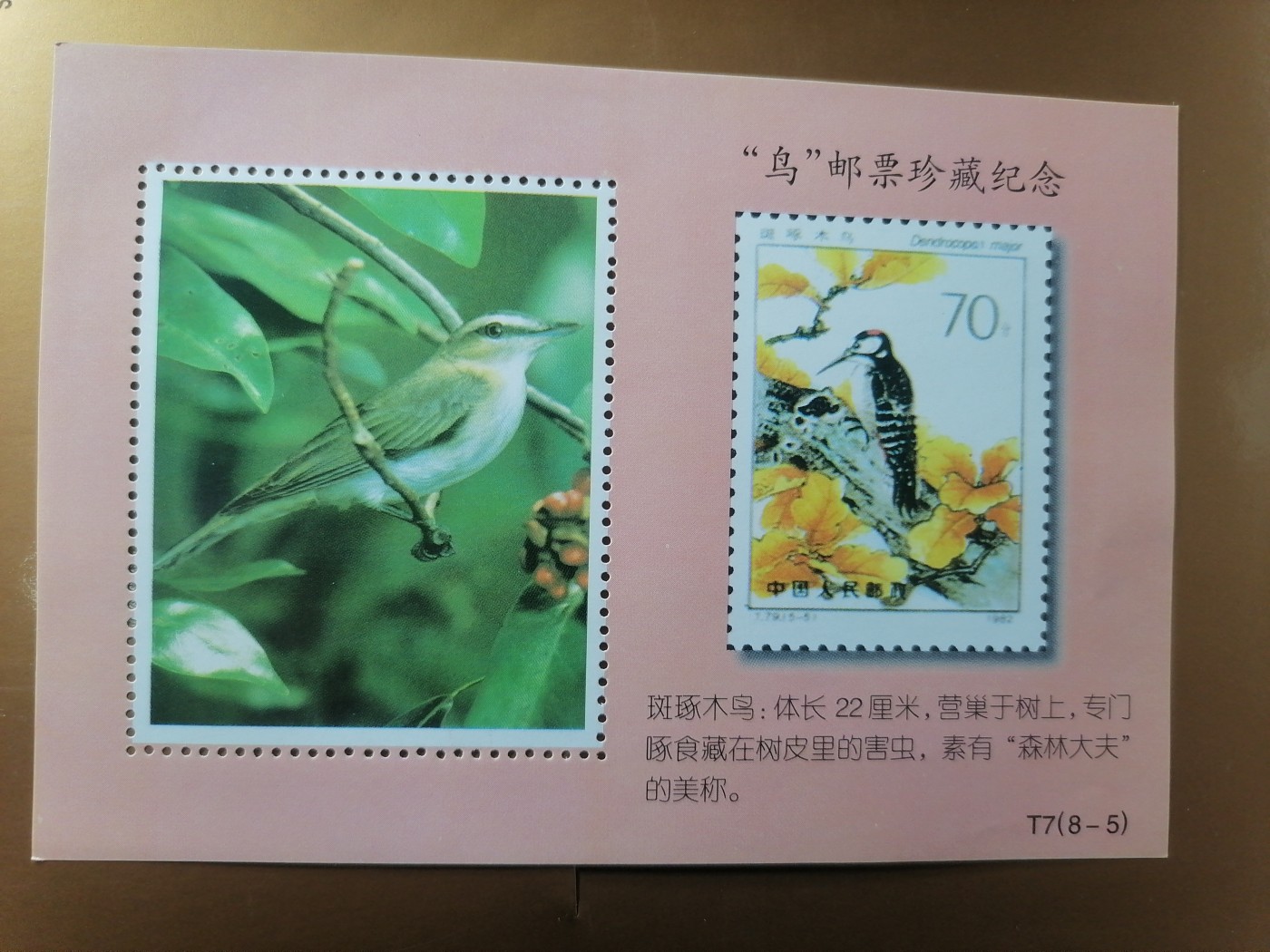 混拍专场 鸟邮票珍藏纪念新全品