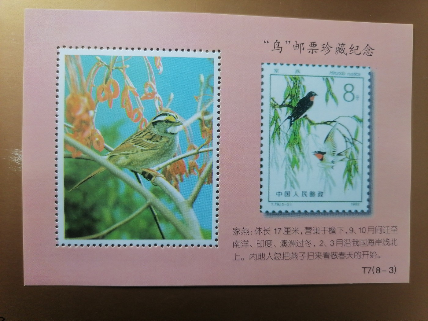 混拍专场 鸟邮票珍藏纪念新全品