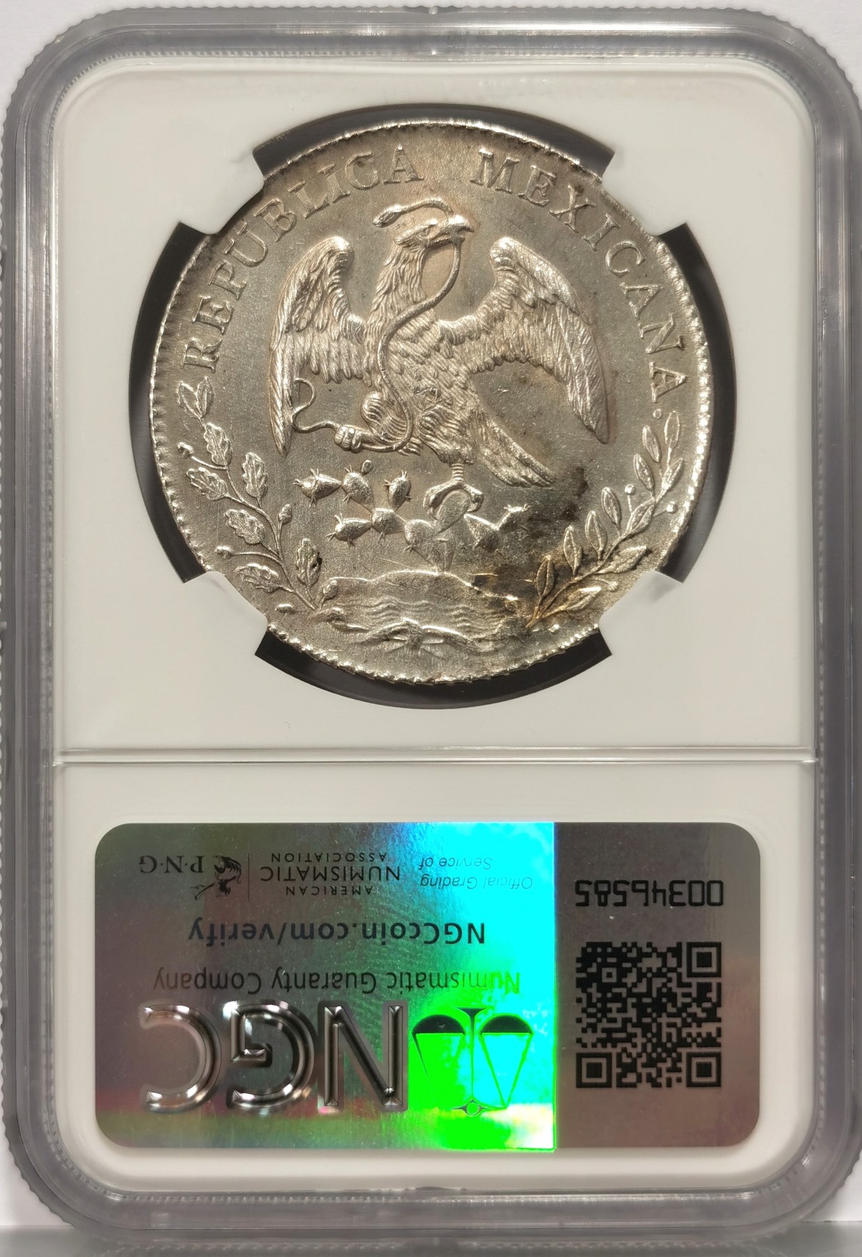 博洋堂世界钱币拍卖第058期（全场包邮）