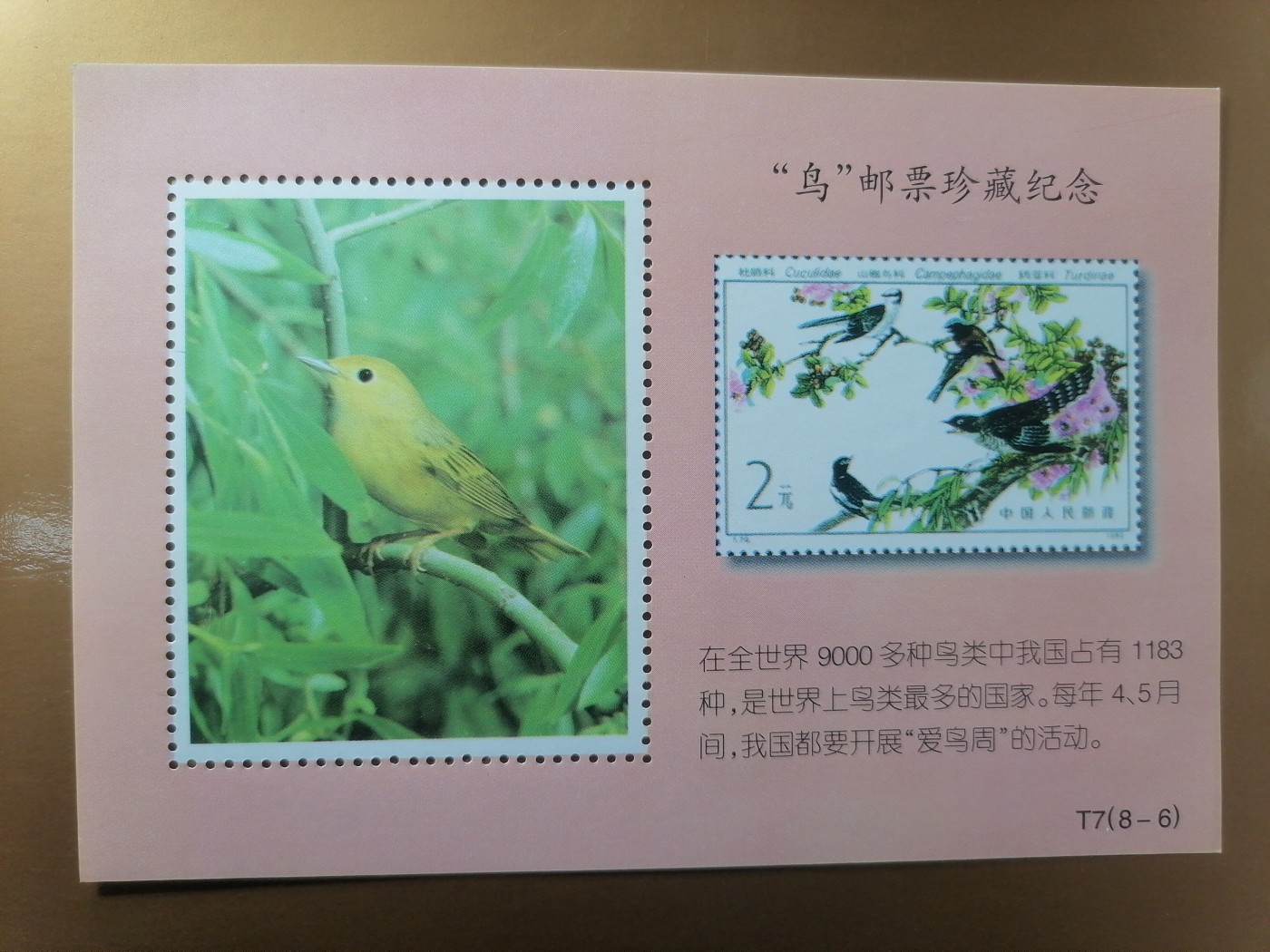 混拍专场 鸟邮票珍藏纪念新全品