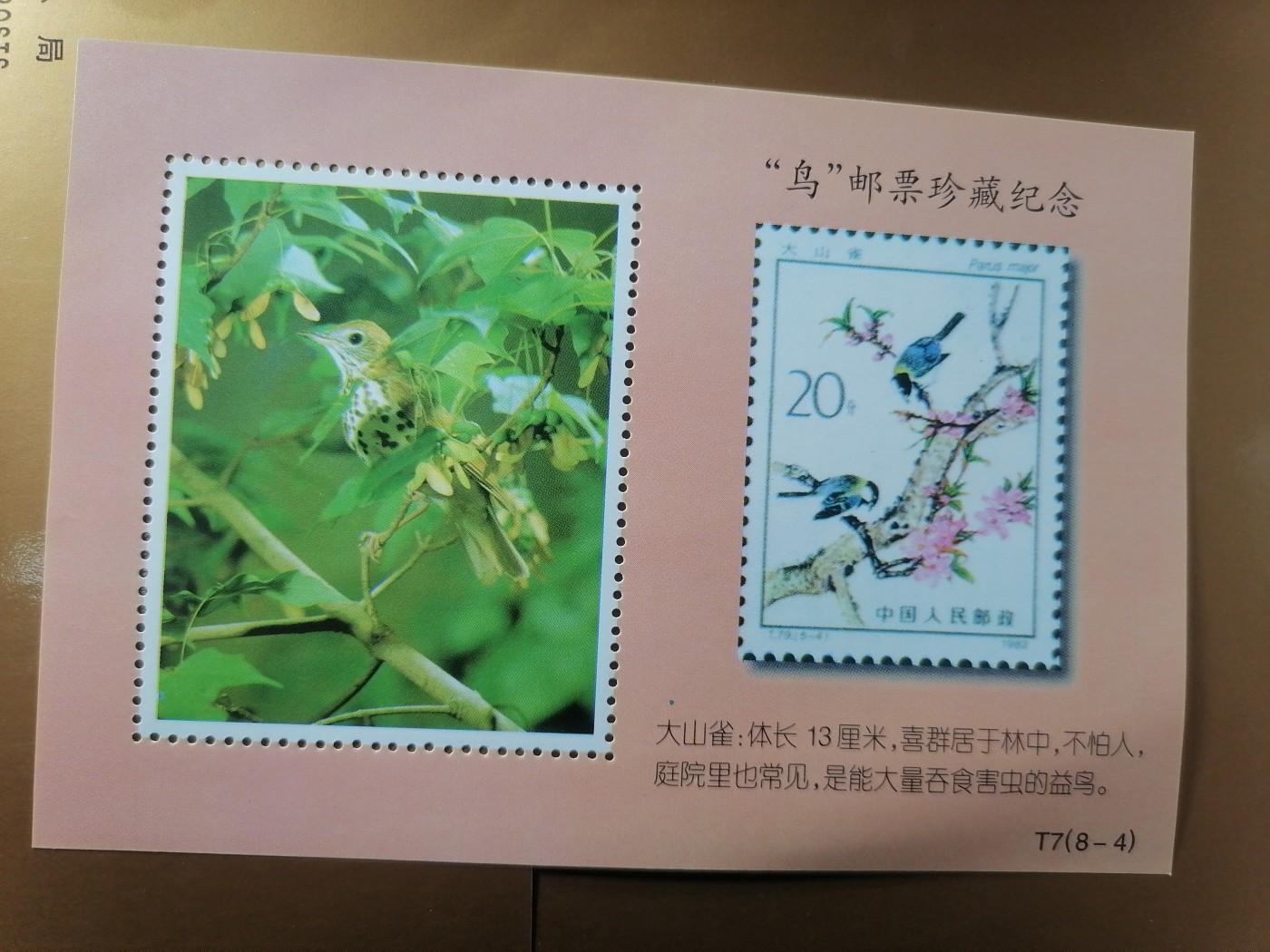 混拍专场 鸟邮票珍藏纪念新全品