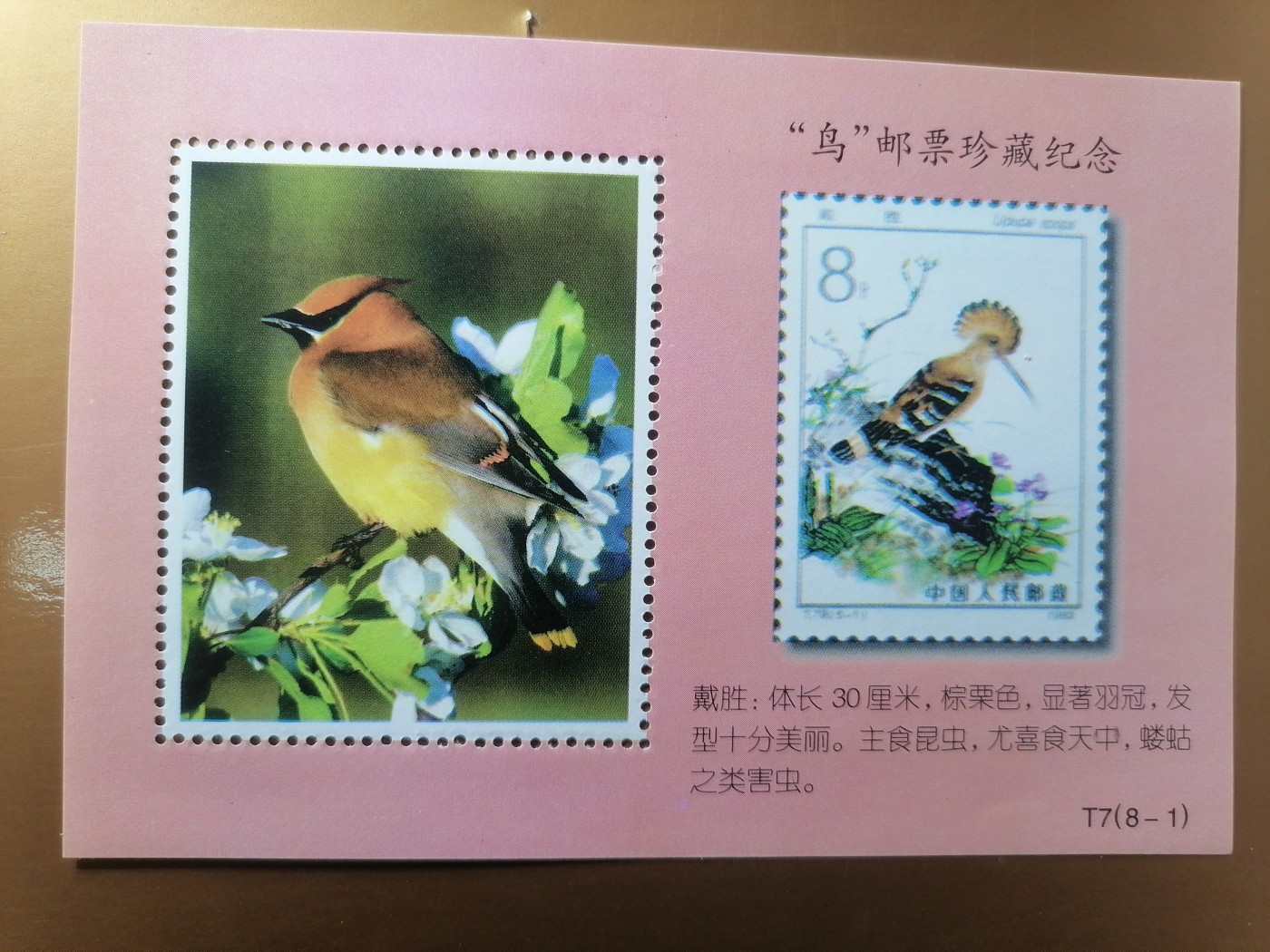 混拍专场 鸟邮票珍藏纪念新全品