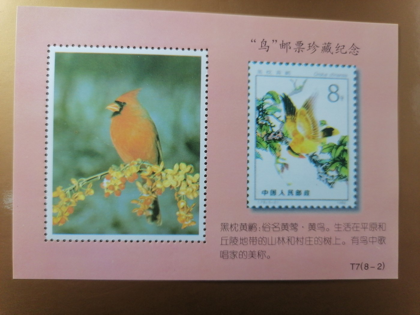 混拍专场 鸟邮票珍藏纪念新全品