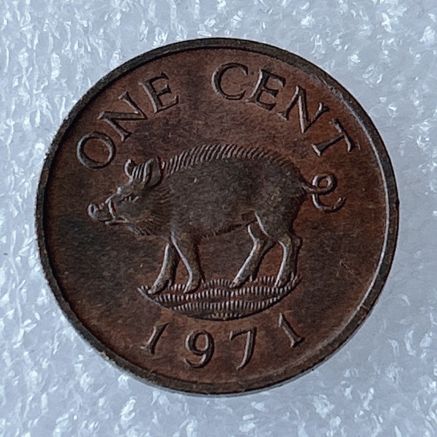 海外回流1元起拍小铺 各国钱币散币场 第3期 百慕大1971年1分硬币 野猪