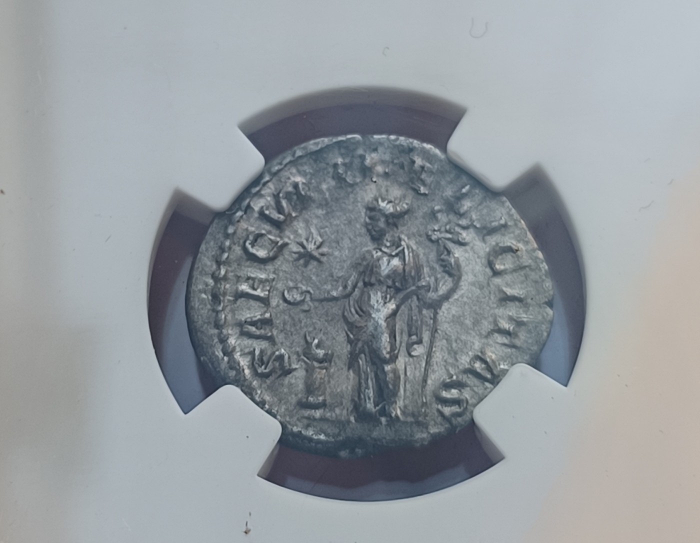 瓶子🏺第123期拍卖会