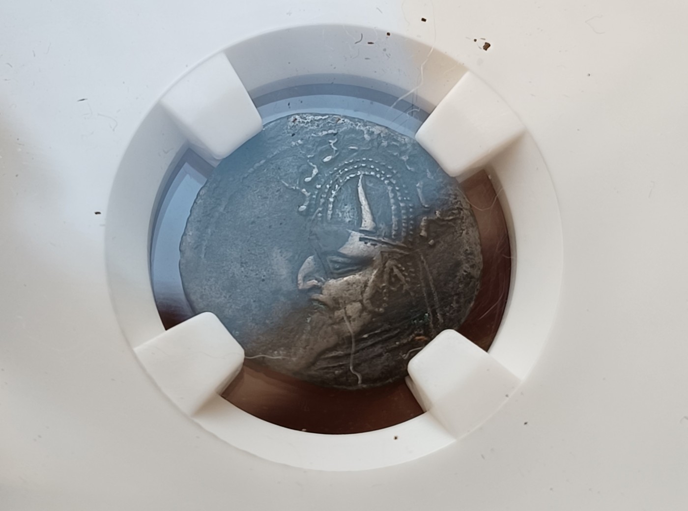 瓶子🏺第123期拍卖会