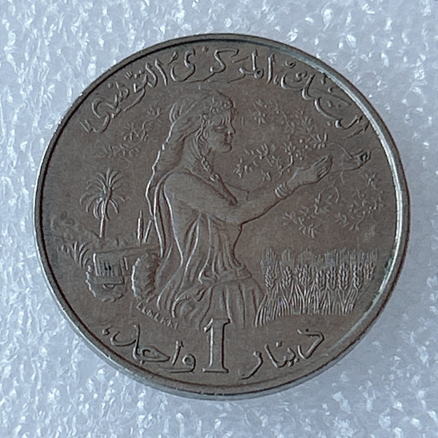 海外回流1元起拍小铺 各国钱币散币场 第3期 突尼斯1983年1第纳尔