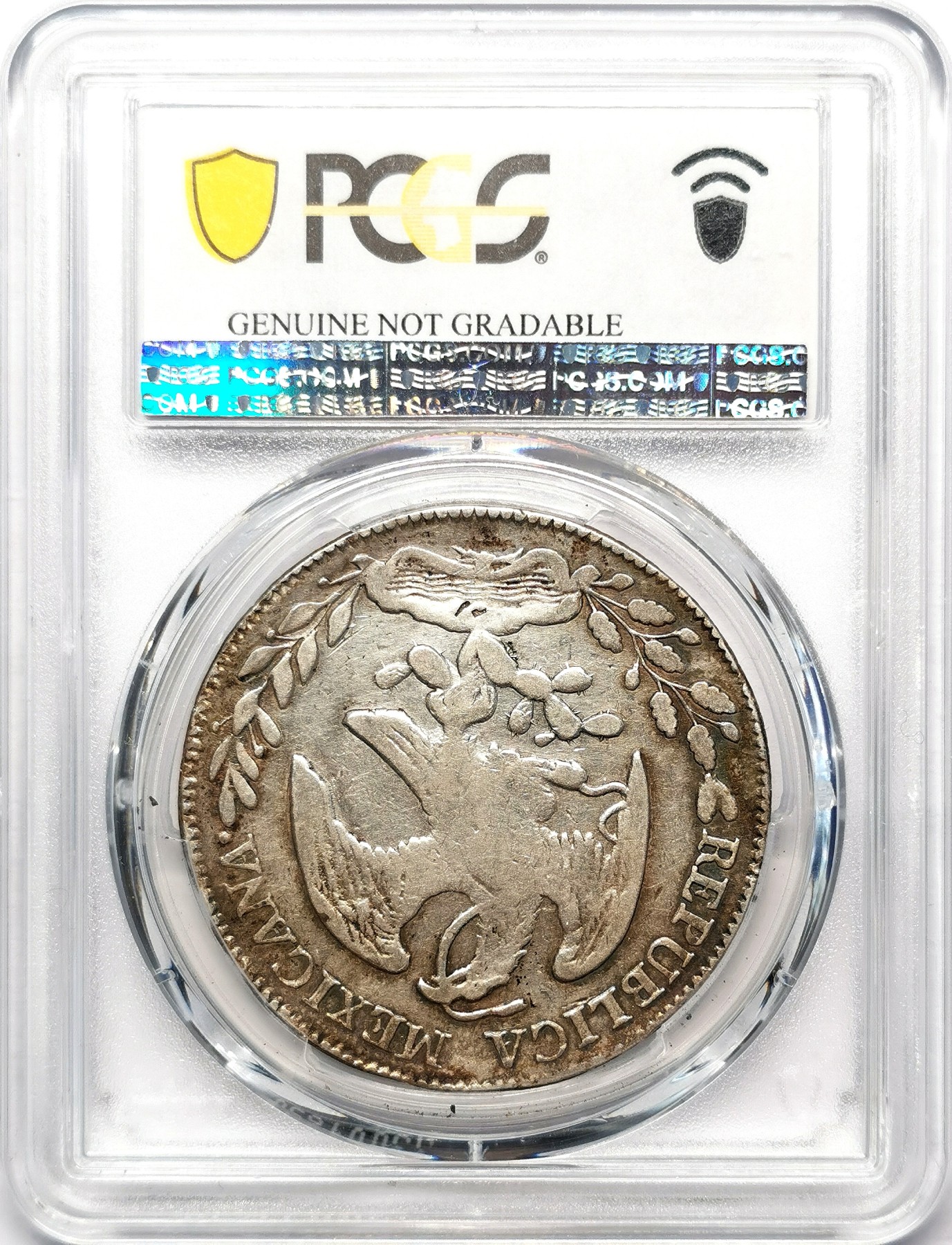 凡希万国世界钱币年度大拍第二季 PCGS  VFD 1876ZS墨西哥花边鹰洋