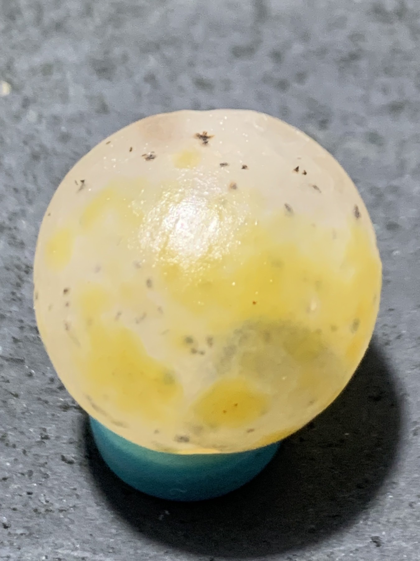 精美亚光糖心料战国红玛瑙手工俏色巧雕富贵有余随形圆珠一个