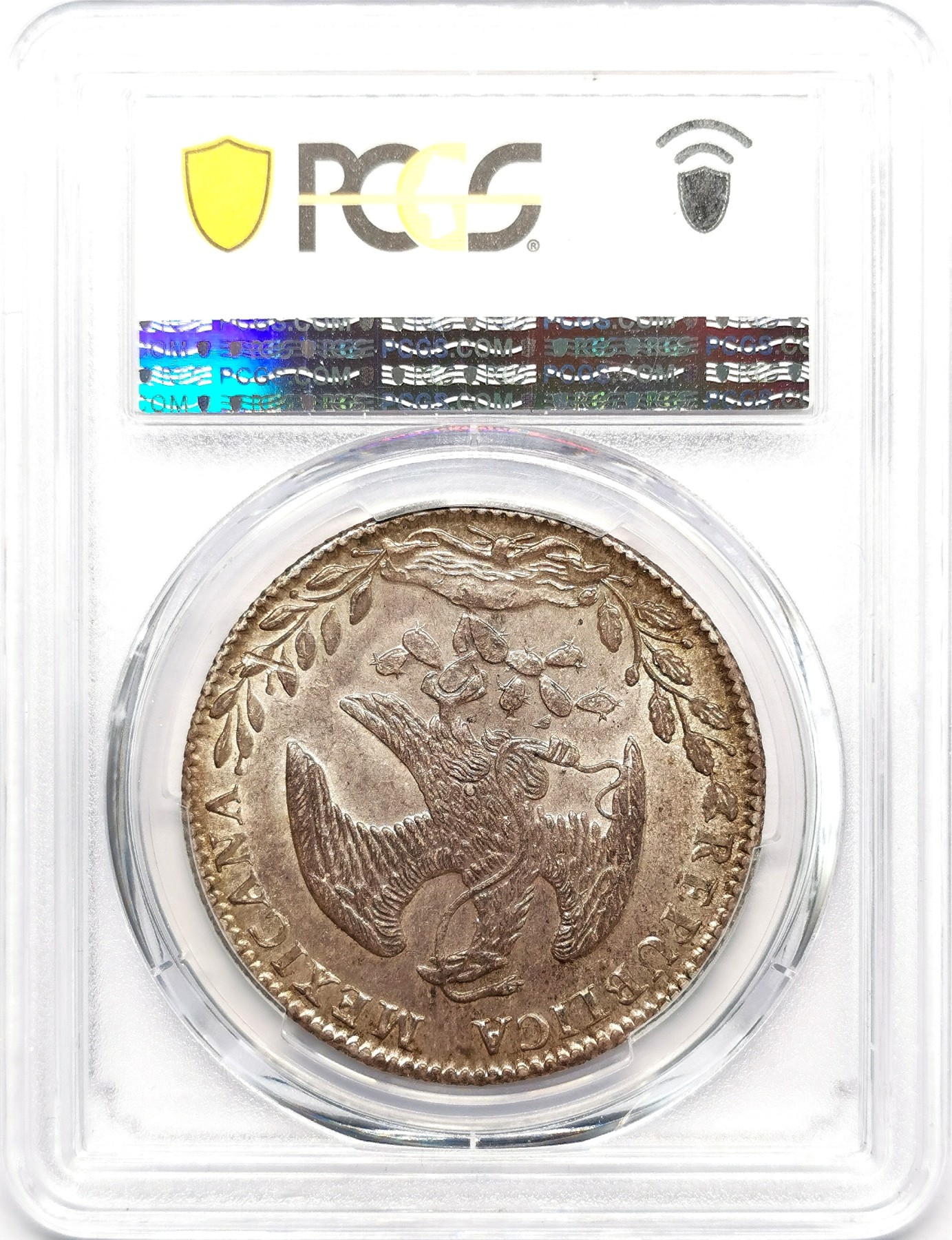 凡希万国世界钱币年度大拍第二季 PCGS MS63 1885GO墨西哥花边鹰洋 淡紫金包浆上手漂亮！