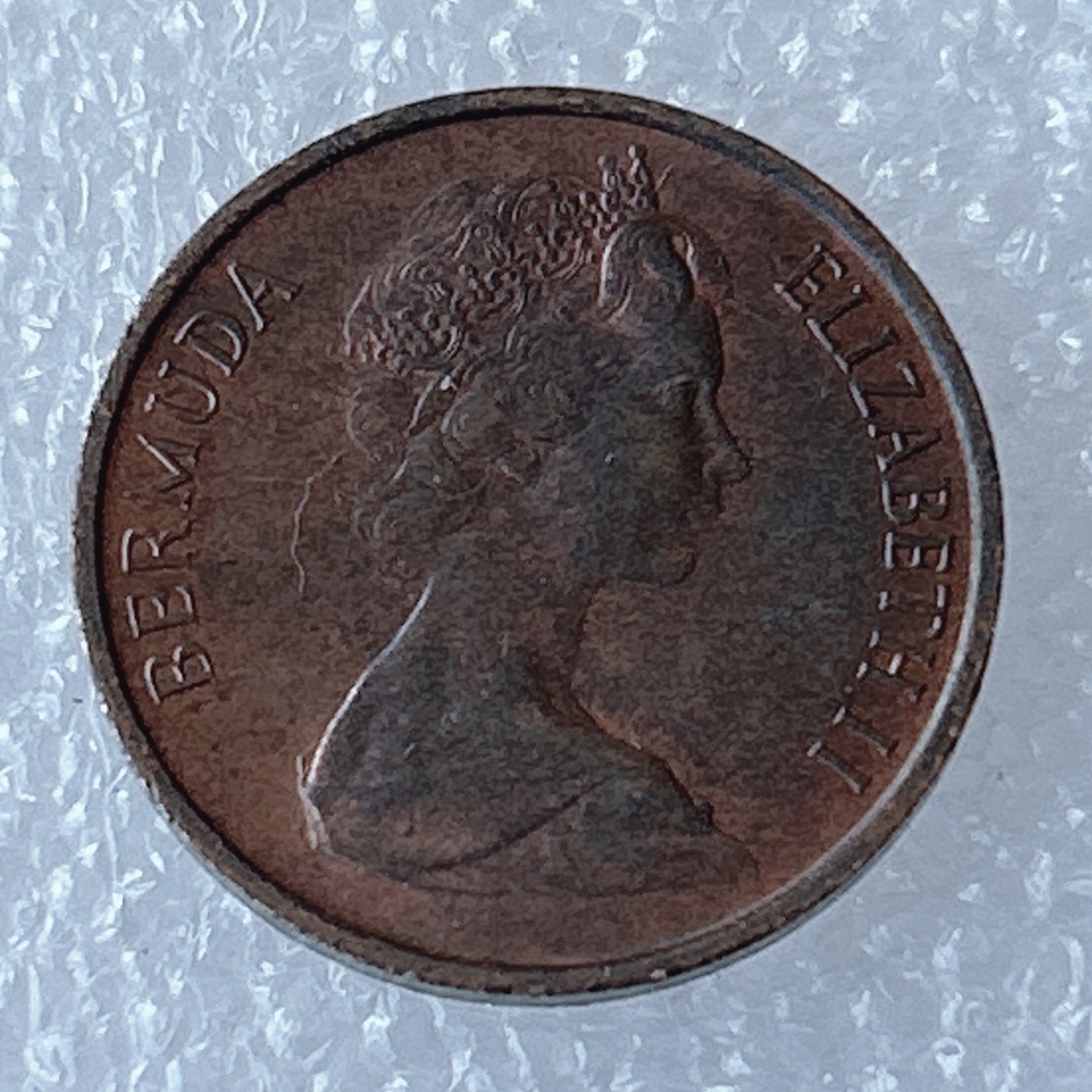 海外回流1元起拍小铺 各国钱币散币场 第3期 百慕大1971年1分硬币 野猪