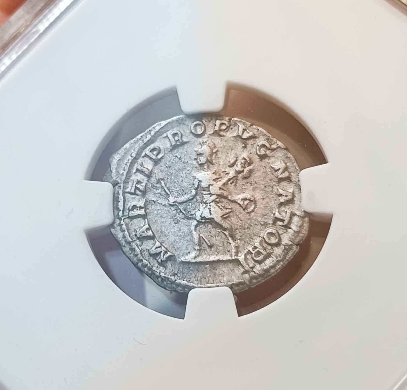 瓶子🏺第123期拍卖会