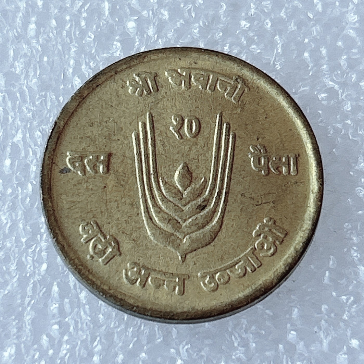 海外回流1元起拍小铺 各国钱币散币场 第3期 尼泊尔麦穗版FAO纪念币10派沙