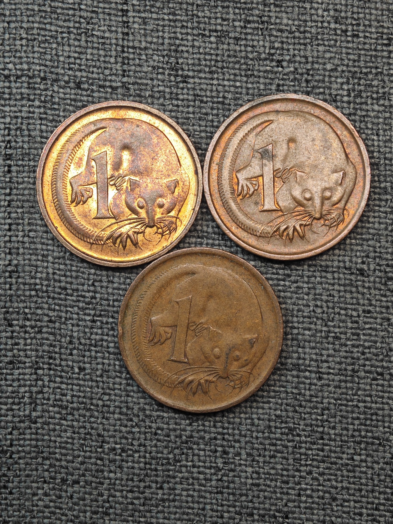 外国硬币收藏店第6期 澳大利亚女王鼯鼠1分铜币3枚