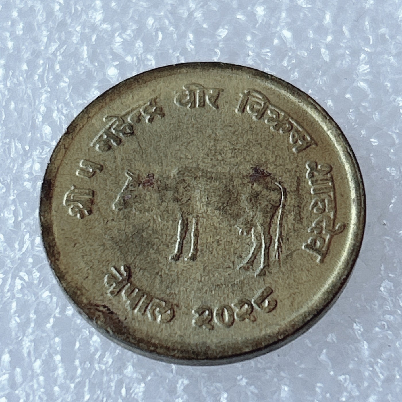 海外回流1元起拍小铺 各国钱币散币场 第3期 尼泊尔麦穗版FAO纪念币10派沙