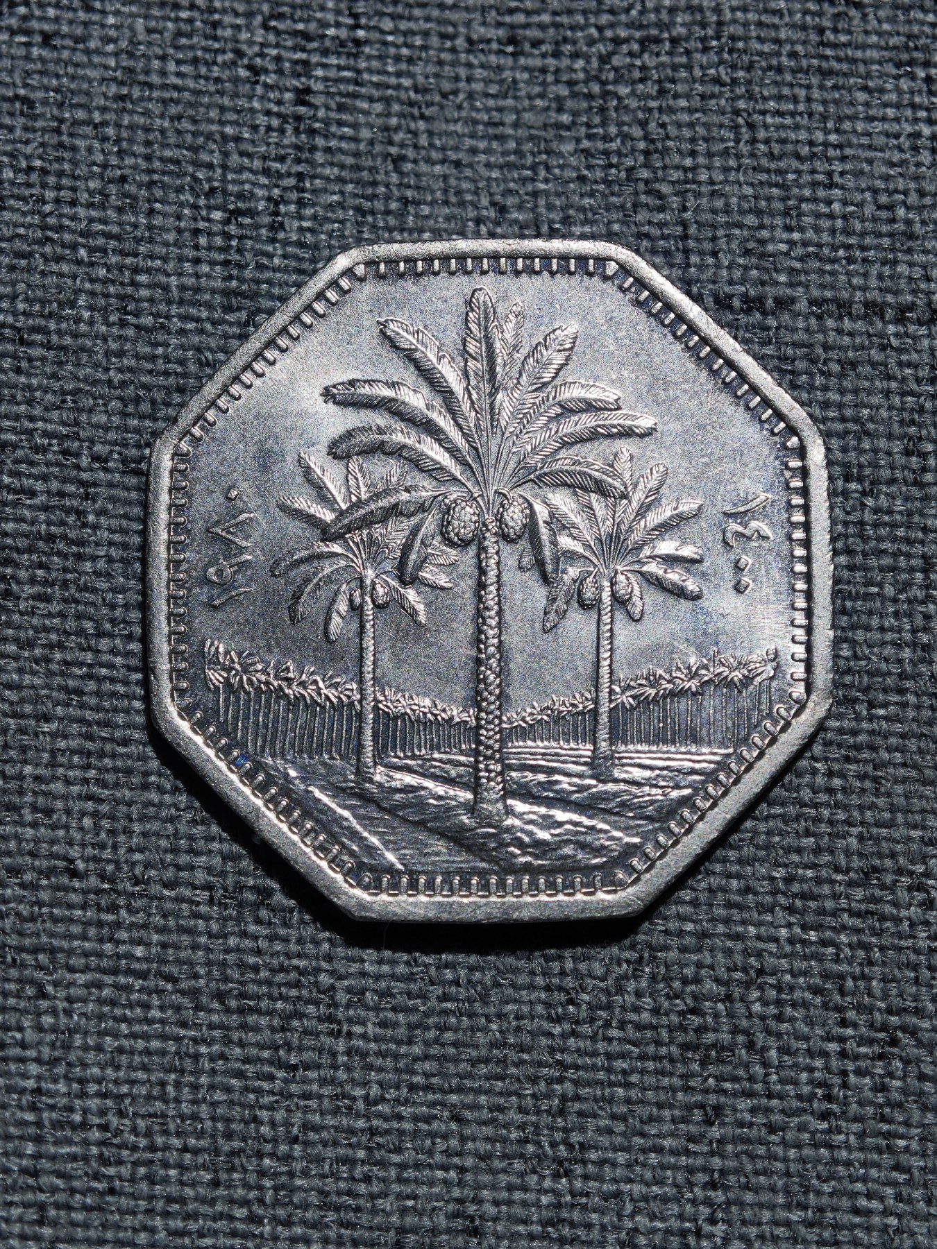 外国硬币收藏店第6期 原光老版伊拉克椰枣树250费尔异形币