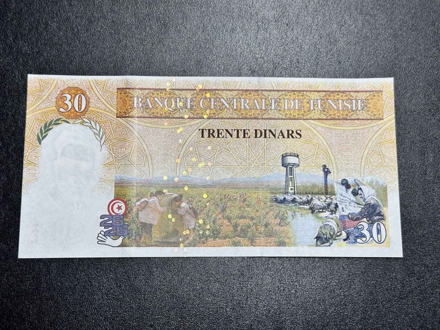 《外钞收藏家》第三百二十六期（连拍第三场） 1997年突尼斯30第纳尔 全新UNC 无47尾88