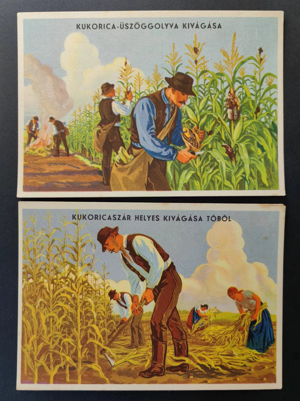 精选多國邮品🔥🔥🔥（拍卖场）放漏专场 第④①场 农业劳动