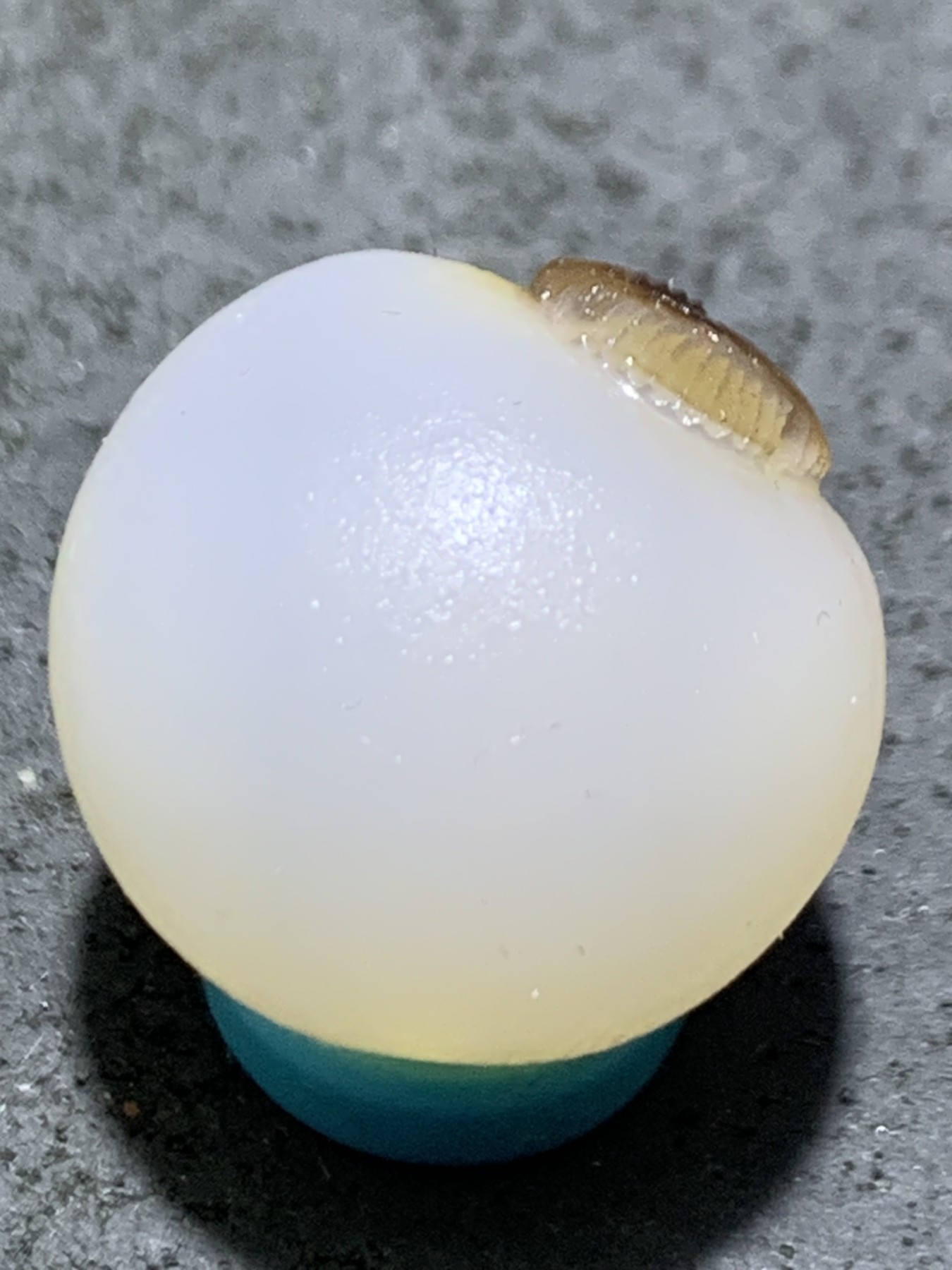 精美高玉化亚光海洋玉髓手工俏色巧雕富贵有鱼意境圆珠一个！