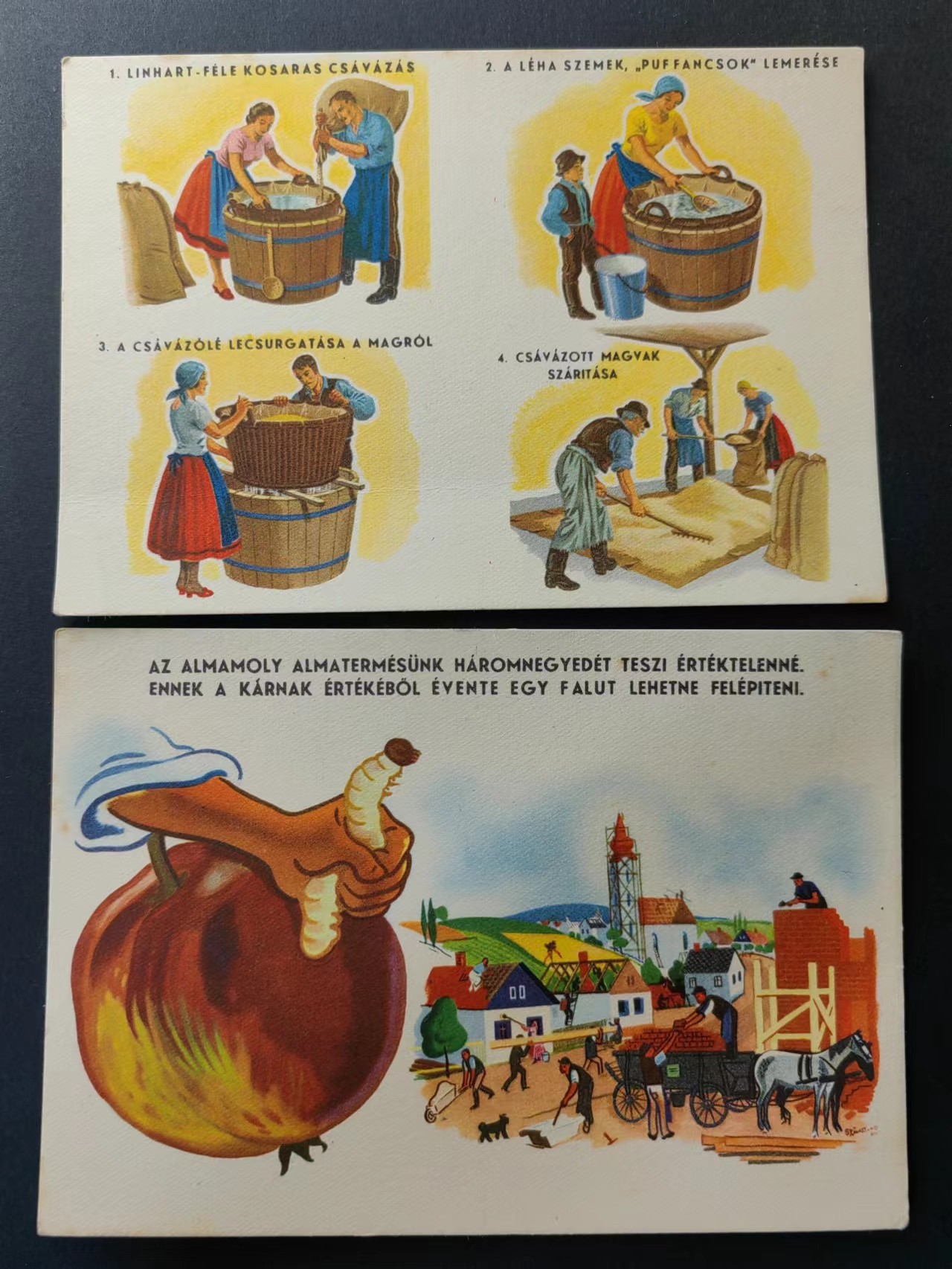 精选多國邮品🔥🔥🔥（拍卖场）放漏专场 第④①场 农作害虫