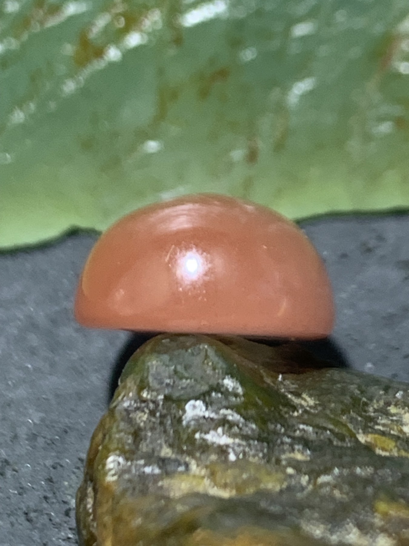精美南红玛瑙荔枝冻飘朱砂戒面一个，