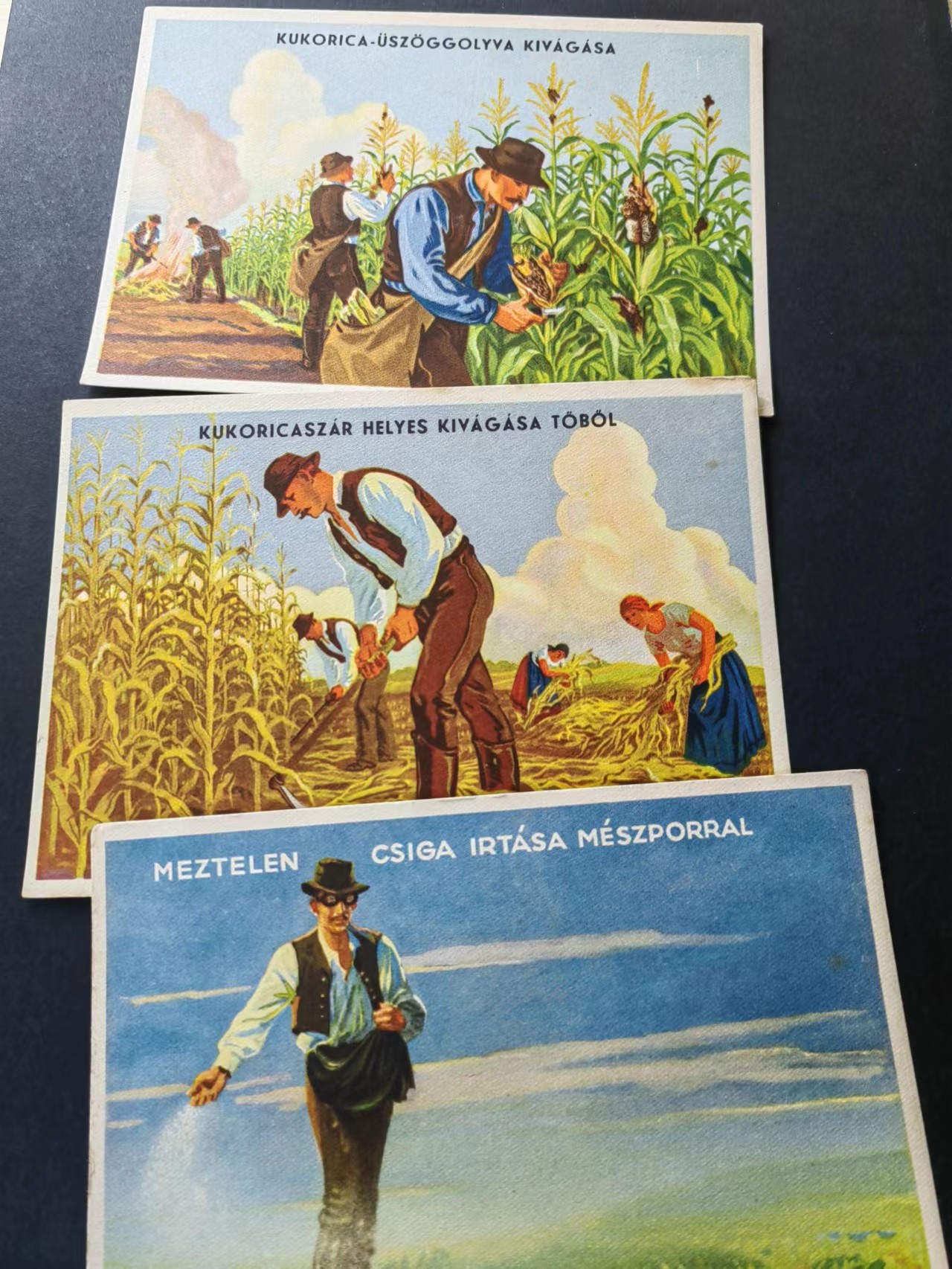 精选多國邮品🔥🔥🔥（拍卖场）放漏专场 第④①场 农业劳动