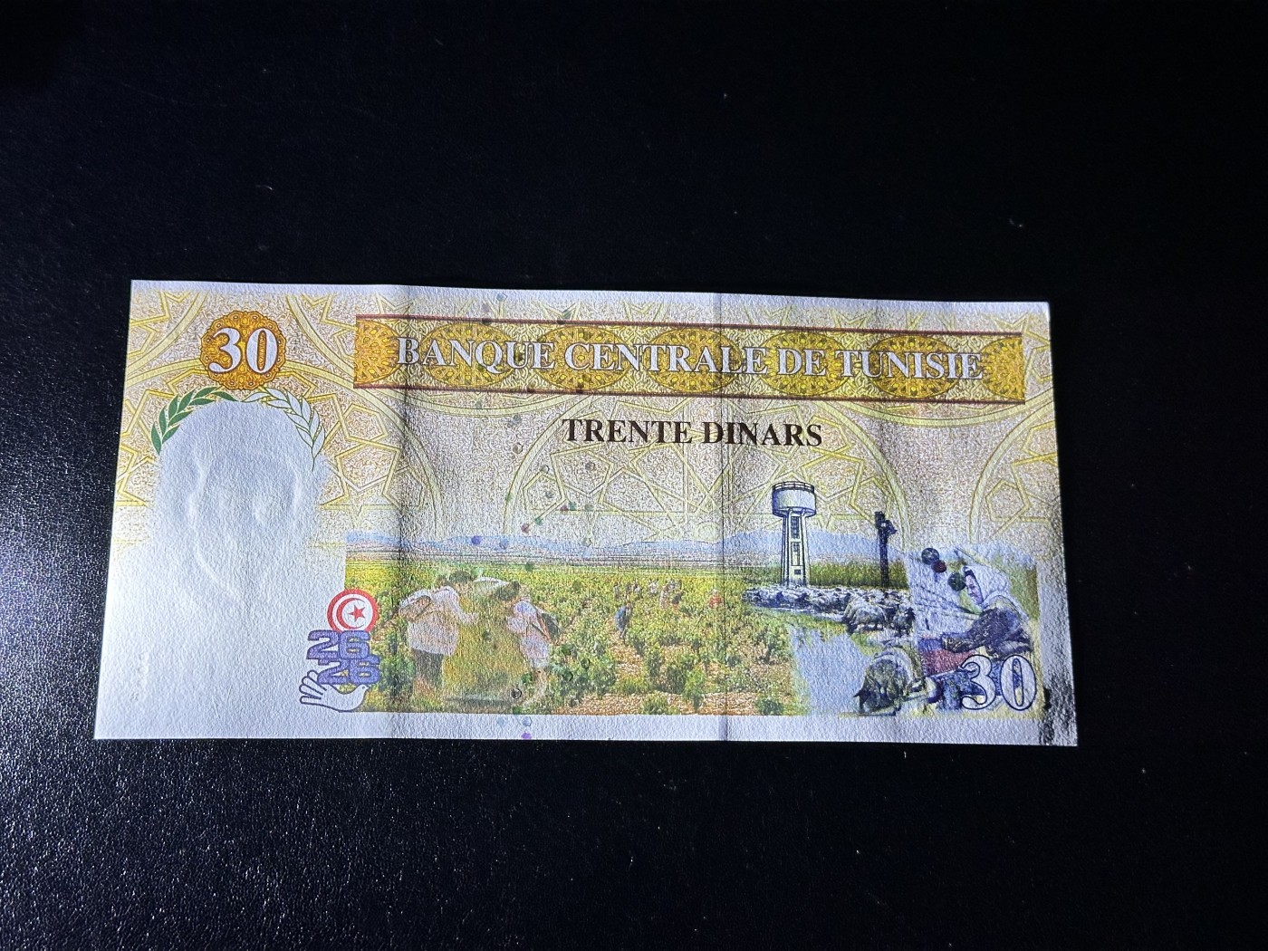 《外钞收藏家》第三百二十六期（连拍第三场） 1997年突尼斯30第纳尔 全新UNC 无47尾88