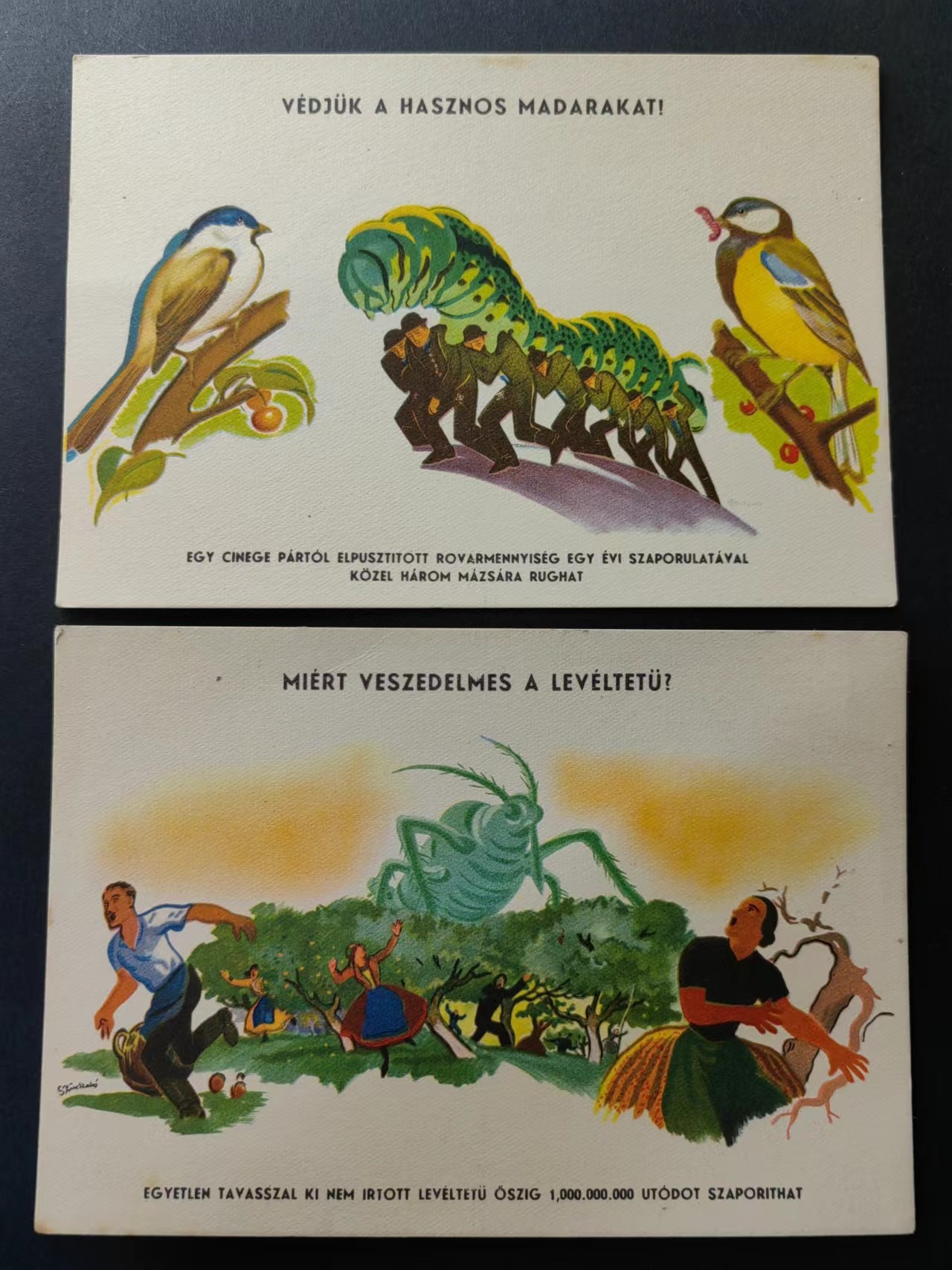 精选多國邮品🔥🔥🔥（拍卖场）放漏专场 第④①场 农作害虫