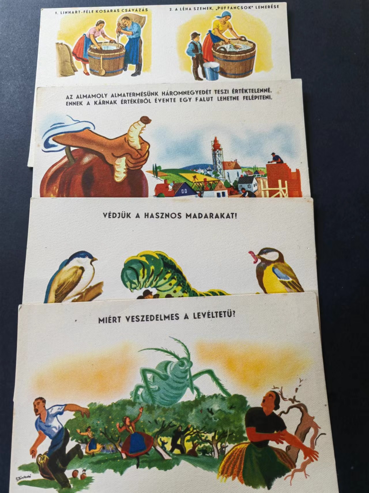 精选多國邮品🔥🔥🔥（拍卖场）放漏专场 第④①场 农作害虫