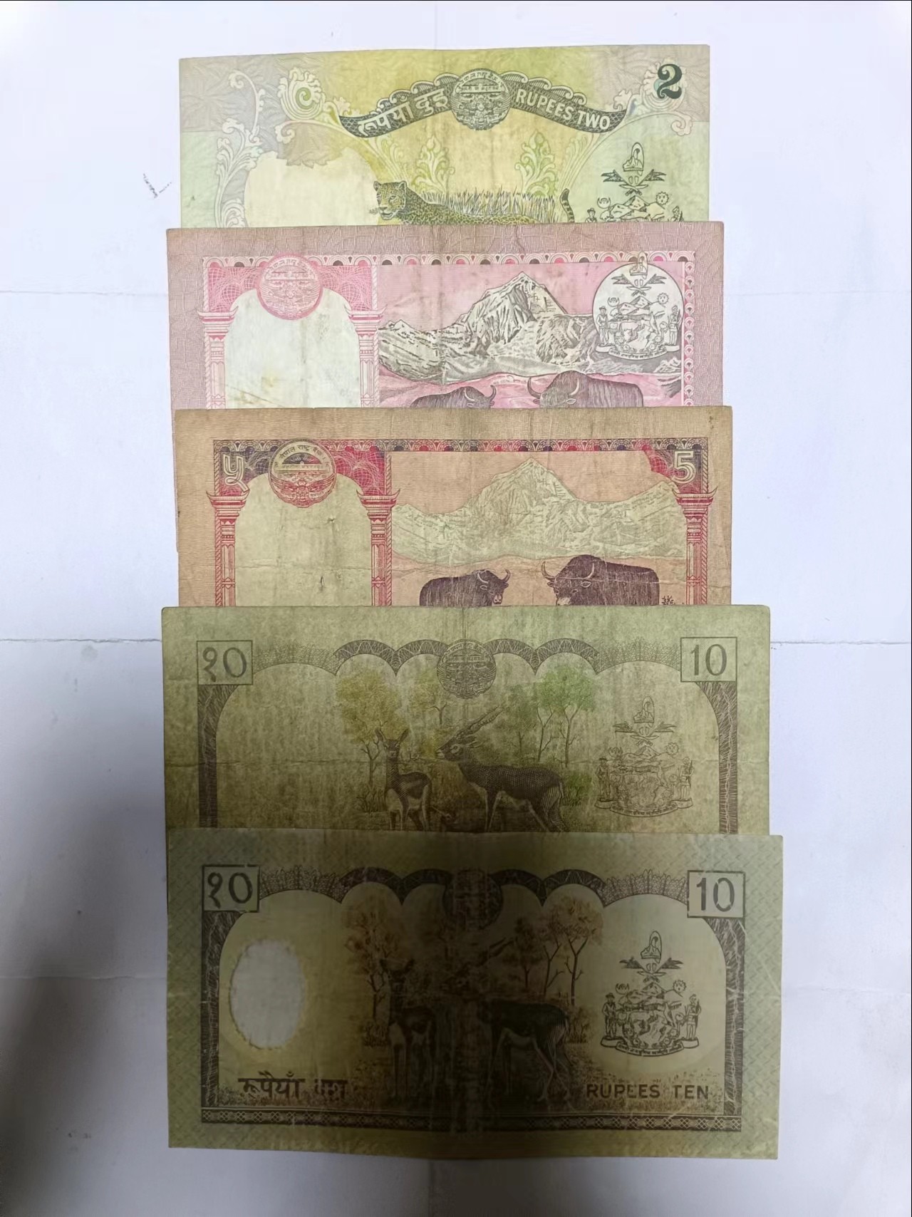 【20240101】非全新纸币第103场 尼泊尔5张纸币，有裂缝