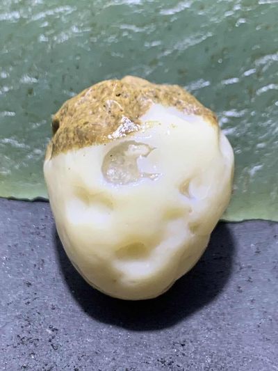 放福利！精美天然原高玉化皮阿拉善白玛瑙原石一颗 - 放福利！精美天然原高玉化皮阿拉善白玛瑙原石一颗