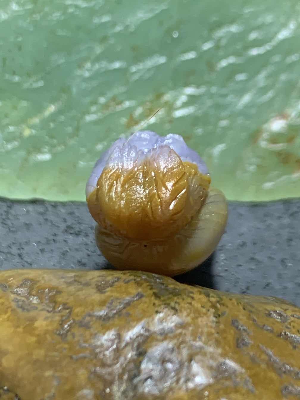 精美亚光高润度冻料鸡油黄蒙料战国红玛瑙雕刻松鼠吊坠一个！