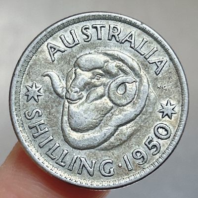 全场一元起拍 世界散币、银币专场 第51期 - 澳大利亚1950年1先令银币 乔治六世 盘羊 重5.6g