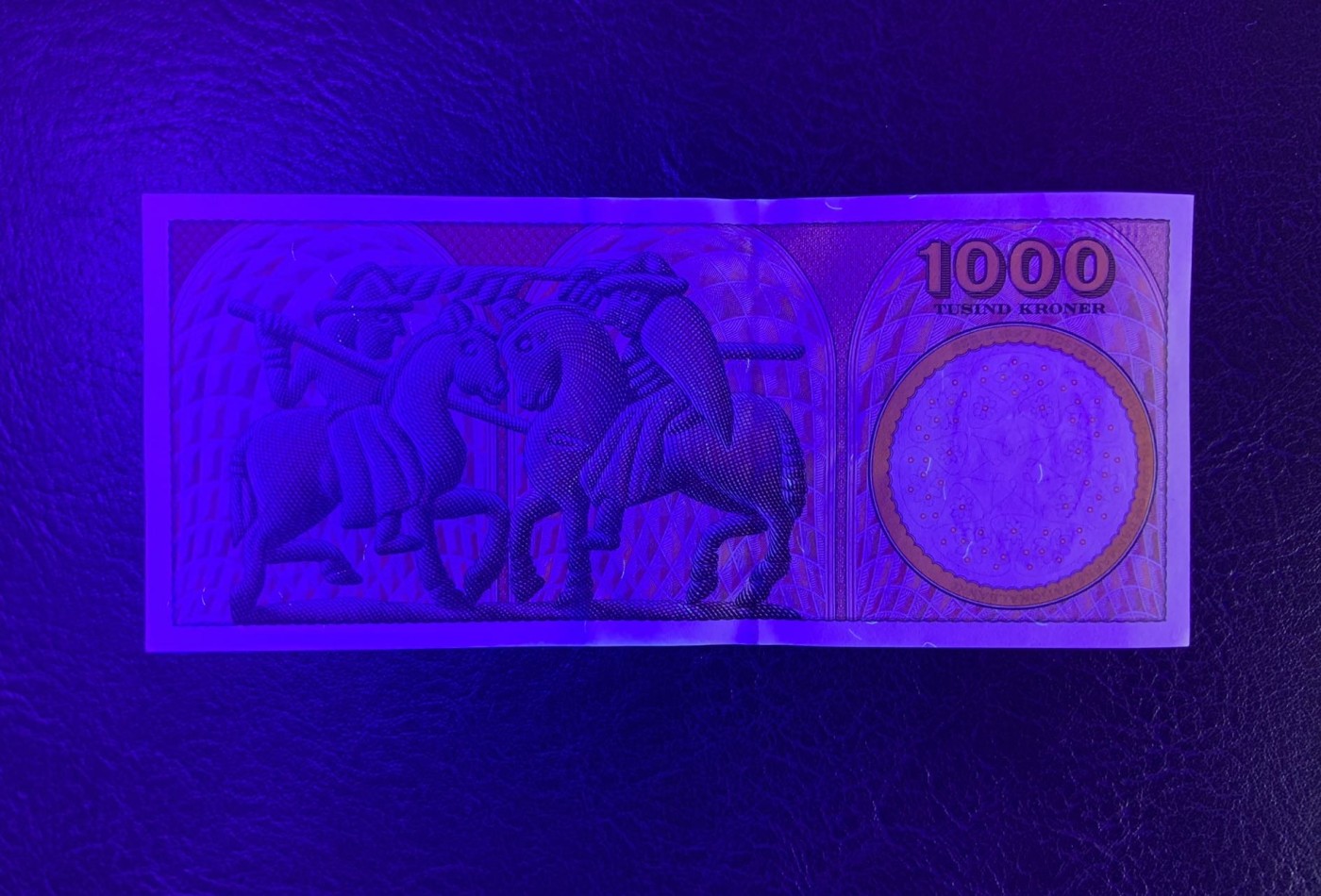 收藏联盟Quantum Auction 第315期拍卖  丹麦2008年1000克朗 品相UNC- 画家安切尔夫妇