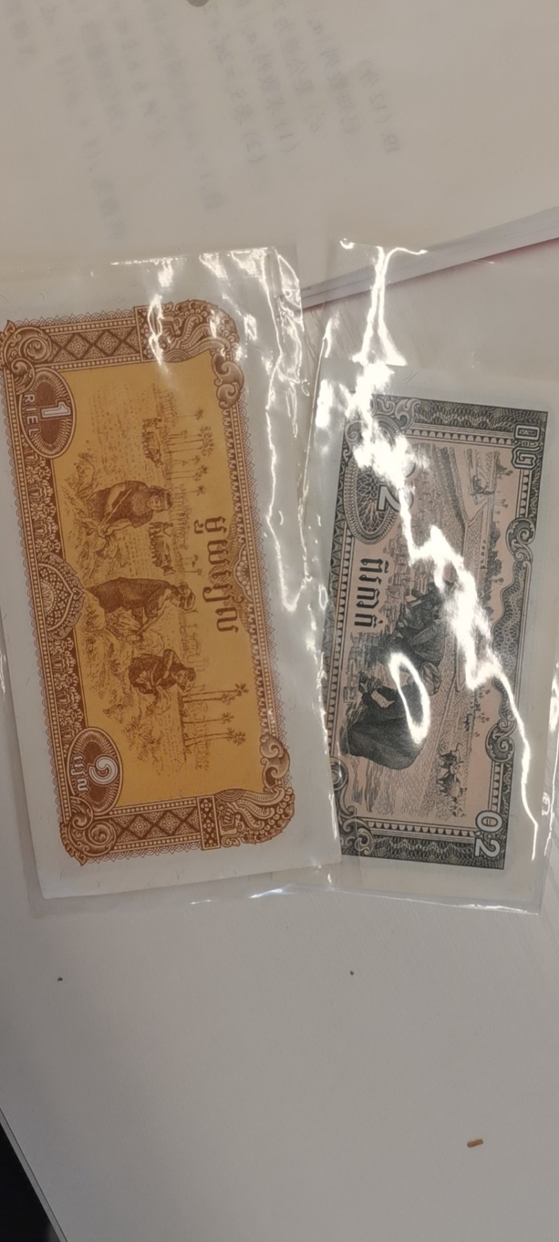 大庆红藏第九场 人高