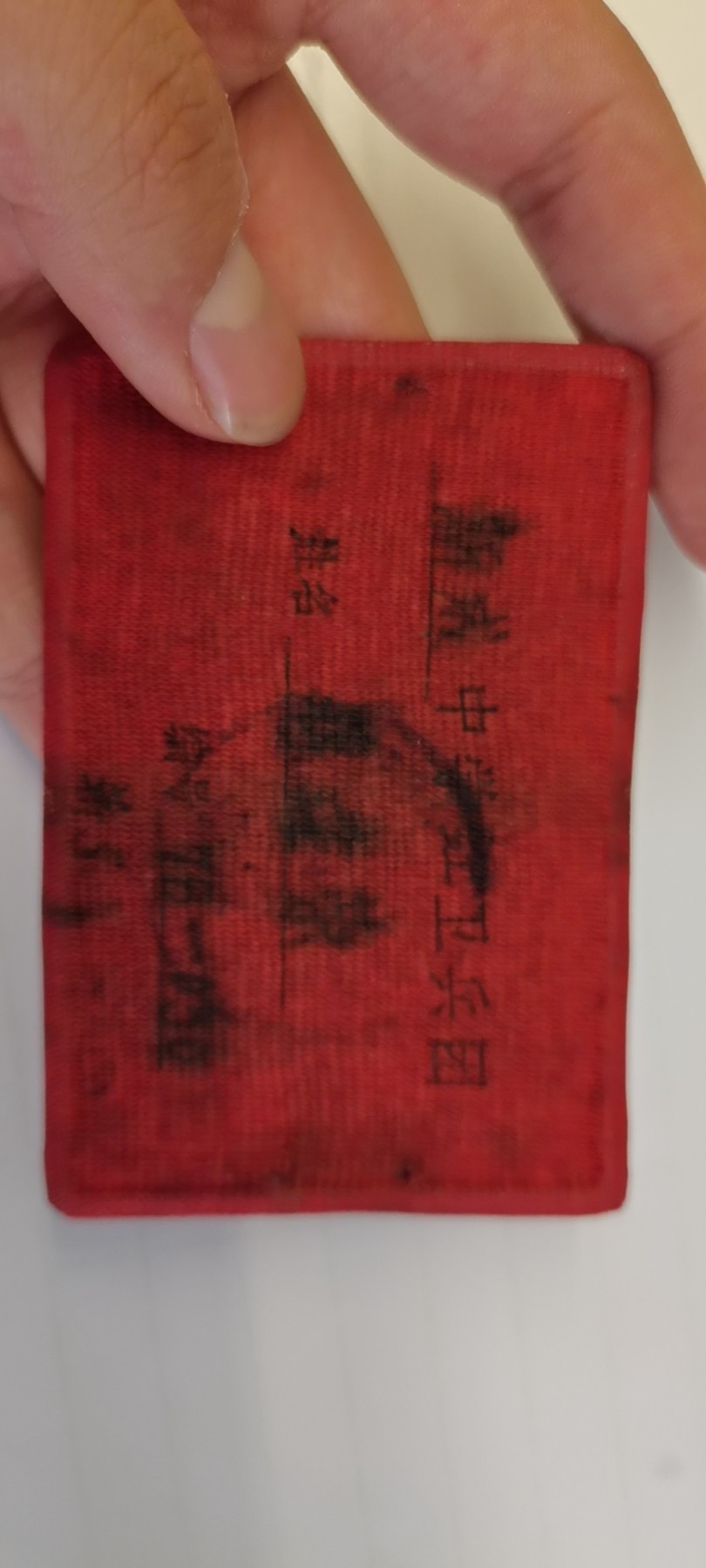 大庆红藏第九场 上海市中等学校红代会