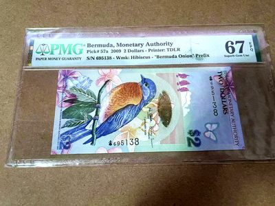 【Blue Auction】✨世界纸币精拍第413期【精】 【获奖钞无47 洋葱冠】百慕大 2009年2元 PMG67EPQ 高分 蓝鸟