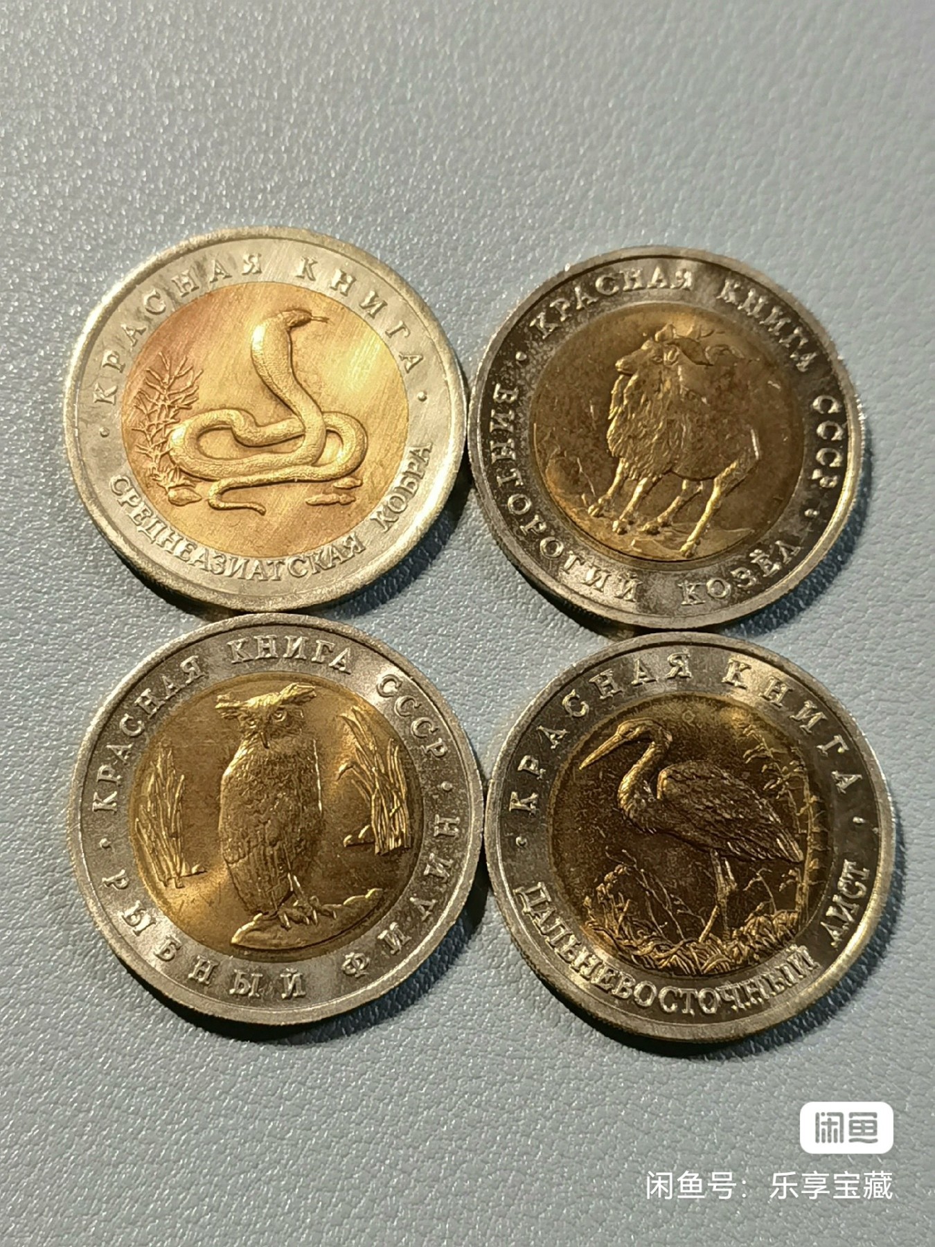 🎉🎊乐享宝藏💎💰~20240213专场 俄罗斯动物纪念币4枚