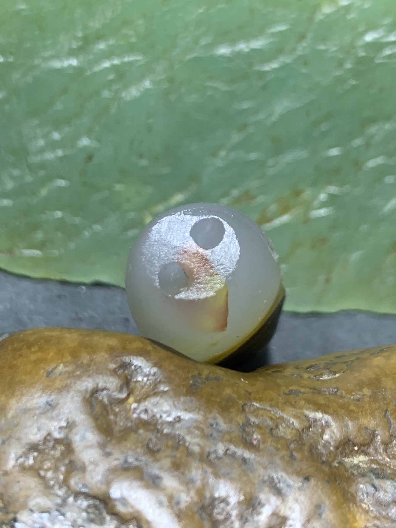 精美亚光高玉化天眼纹巴西玛瑙手工俏色巧雕蝙蝠钱币随形吊坠（把件）一个！