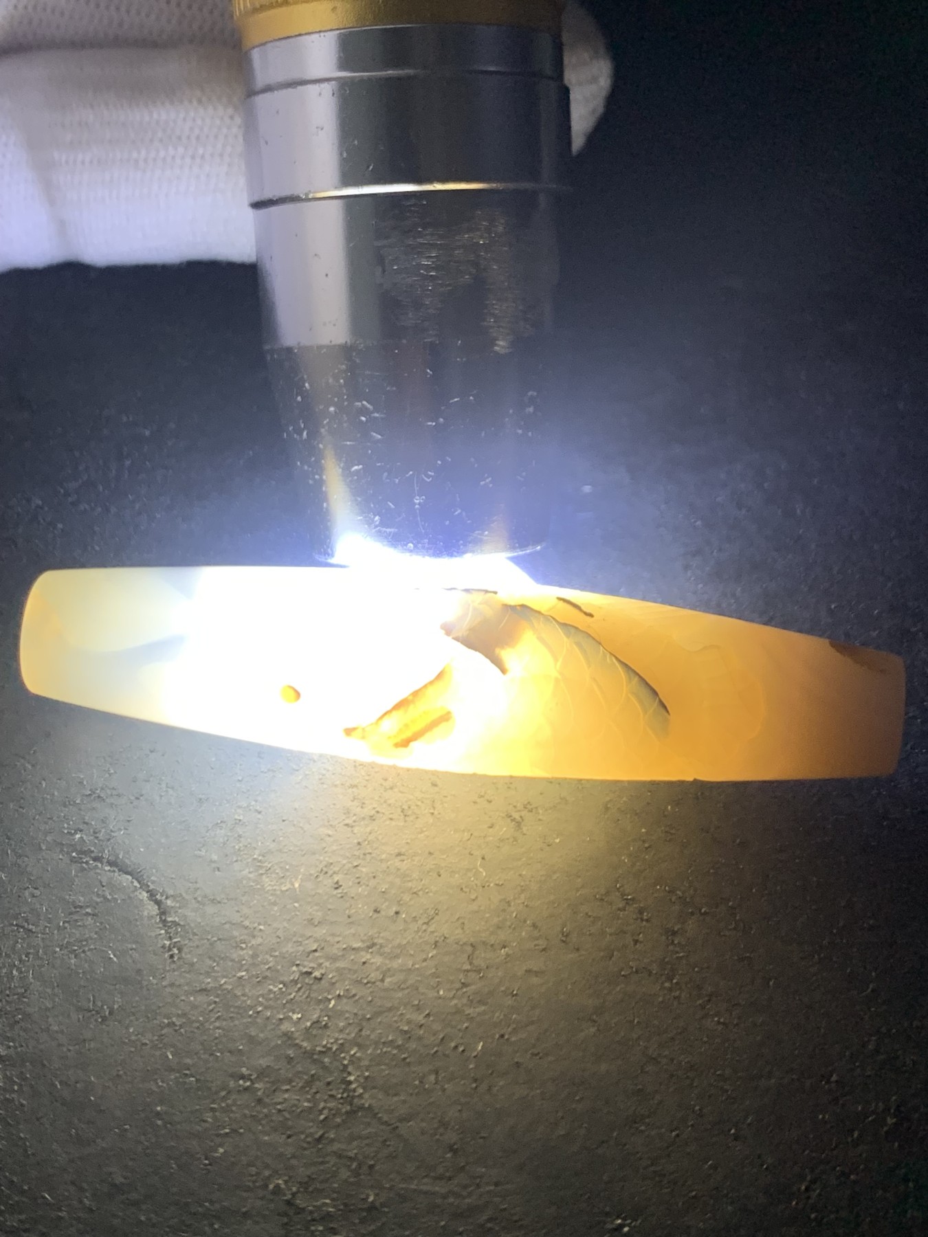 精美高玉化马达加斯加海洋玉髓手工俏色巧雕鱼吊坠（把件）一个
