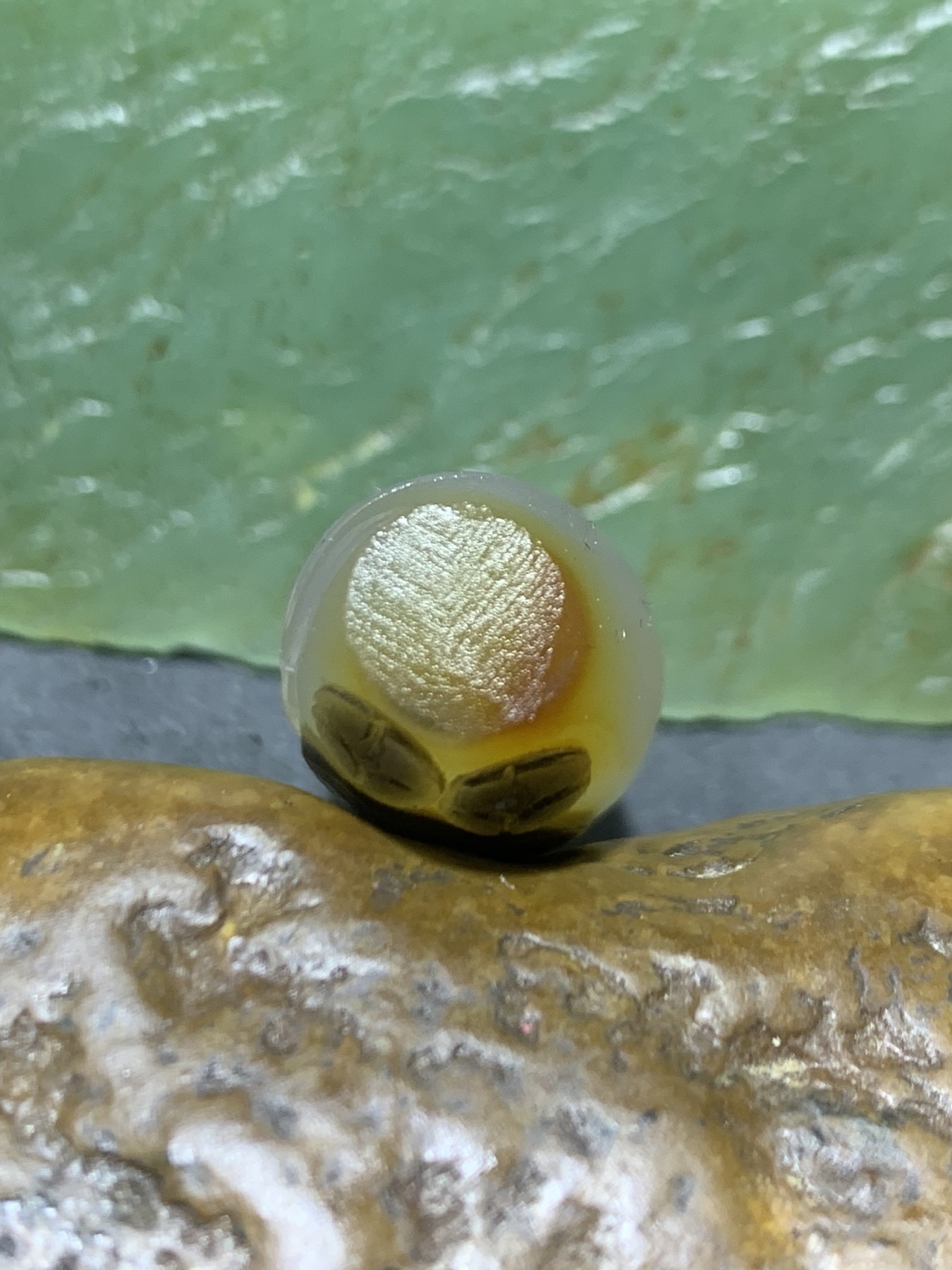 精美亚光高玉化天眼纹巴西玛瑙手工俏色巧雕蝙蝠钱币随形吊坠（把件）一个！