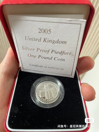 英国2005年加厚一磅银币 - 英国2005年加厚一磅银币
