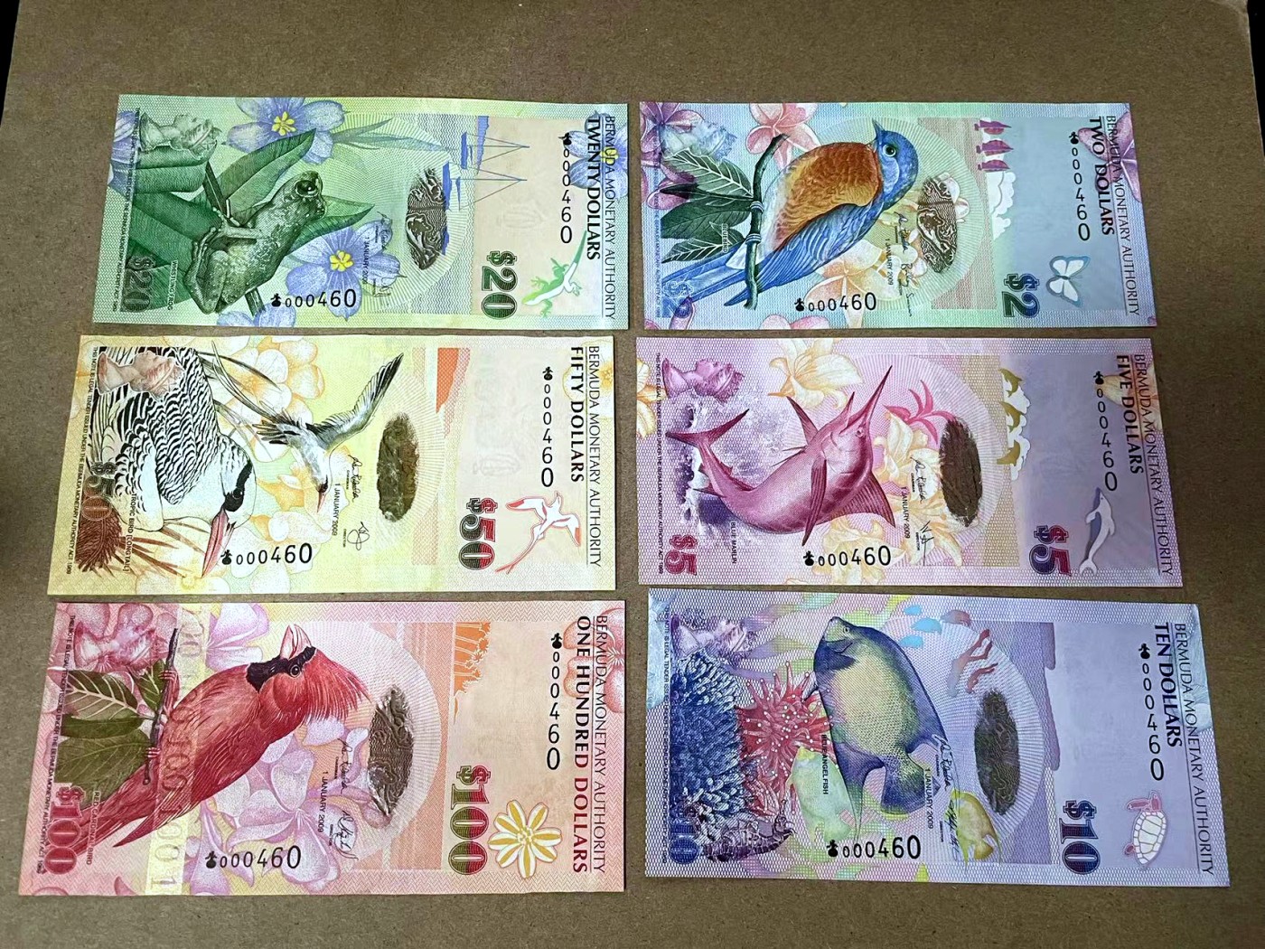 【Blue Auction】✨世界纸币精拍第414期【精】  【洋葱冠 全同460小号 含获奖钞】百慕大 2009年2-100元 设计精美 UNC 如今全同套装少见  